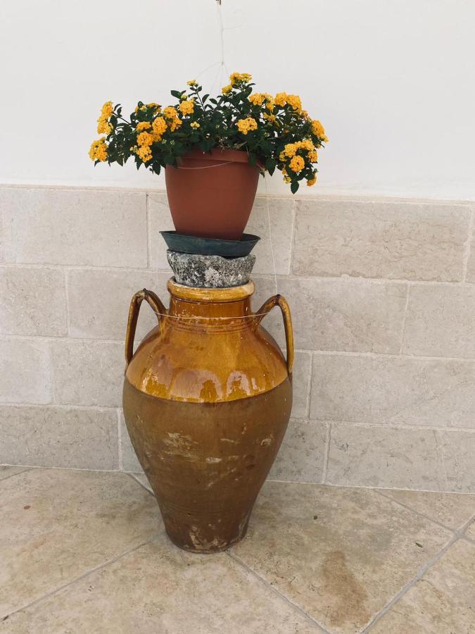 Trulli Della Masseria Staffone アルベロベッロ エクステリア 写真