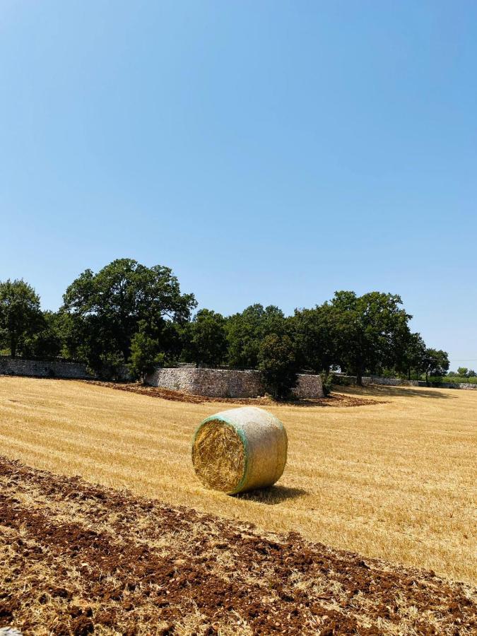Trulli Della Masseria Staffone アルベロベッロ エクステリア 写真